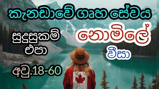 කැනඩාවේ ගෘහ සේවය. නොමිලේ වීසා. අවු. 18-60 දක්වා housekeeping foreign job vacancies in canada free