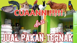 Peluang Usaha : TOKO PAKAN TERNAK \