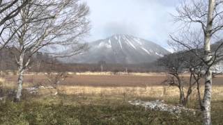 奥日光 小田代ヶ原~貴婦人