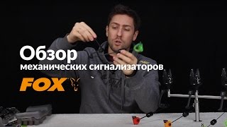 Карпфишинг TV :: Обзор свингеров FOX