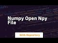 numpy open npy file
