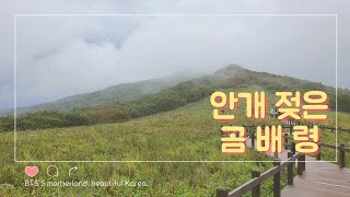 #곰배령 #점봉산 #천상의 화원 안개가 구름처럼 흩어지던 곰배령