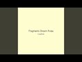 Fragments Dream Pulse