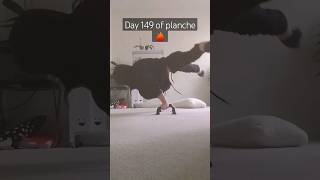 Calisthenics Progress| Day 149 of planche ❤️🔥