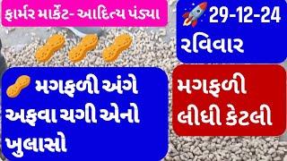 નવી મગફળીના બજાર ભાવ, મગફળીના આજના બજાર ભાવ,ગોંડલ મગફળીના ભાવ, મગફળીમાં તેજી,#kishancare 29.12.2024