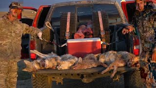 Coyote Hunting: 6 Coyotes Down Suppressed 6mm Creedmoor Thermal Night Hunting