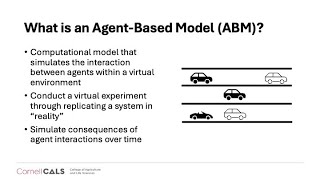 Advanced Modeling Principles: Agent Based Modeling