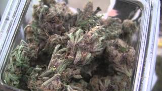 tokin daily: LivWell CoSprings: White Mountain Medicine, Broadmoor Wellness Center