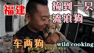 骑行福建，小三轮捡到一只流浪狗，老可爱了，叫啥名字【小三轮走天下】