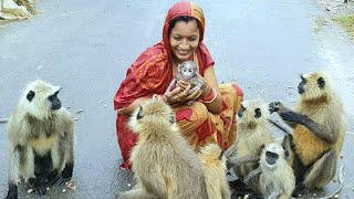 Finally she won the heart of the mother langur give her new born baby to the womans hand