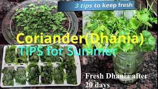 धनिया 20 दिन बाद भी एकदम फ्रेश  | 3 ways to keep dhania(coriander) fresh even after 20 days.