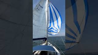 Sailing Spinnaker with Scanner 38