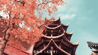 重庆旅游 千年古镇的秋天 现如今还保留得很好 真是大隐隐于市