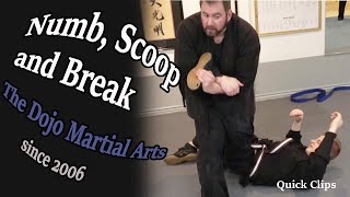 Martial Art Quick Clips - Numb, Scoop and Break