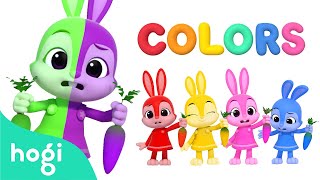 [NEW✨] Learn Colors with Carrot Catching Game & Jeni | Learn Colors for Kids | Pinkfong Hogi
