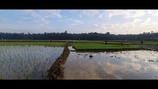 The life of a farmer's /  കർഷകരുടെ ജീവിതം