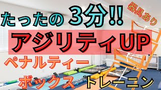 【3分間トレーニング】たった3分❗️アジリティーUP 【ペナルティーボックストレーニング】