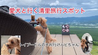 愛犬と行く清里旅行スポット