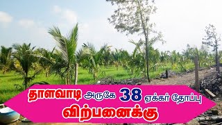 தாளவாடியில் 38  ஏக்கர் தென்னந்தோப்பு விற்பனைக்கு/38 Acres of coconut plantation land for sale