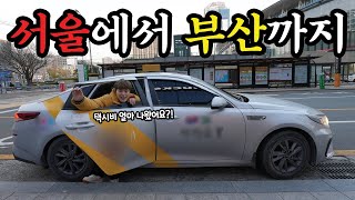 서울에서 부산까지 택시비가 궁금해서 진짜로 가보았습니다!!! ㅋㅋㅋ