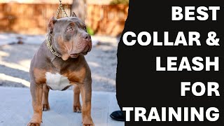 The Best Collars & Leashes for Training Your Dog