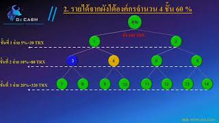 OX Cash แผนรายได้ แบบละเอียด