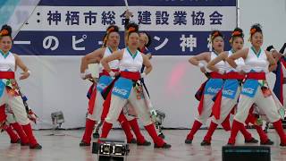 ｺｶ･ｺｰﾗ札幌国際大学／第９回 かみす舞っちゃげ祭り