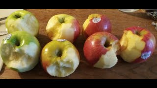 7 Regular \u0026 Organic Apples Comparison: Granny Smith, Fuji, Honeycrisp \u0026 Pink Lady