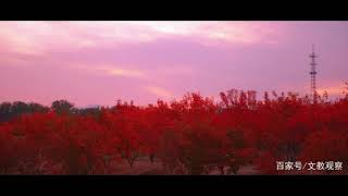 长安秋望（唐）杜牧 AUTUMN VIEW IN CHANG'AN