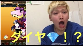 【パズドラ 】フェス限ヒロインガチャ引いて見た！