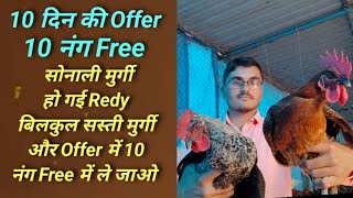 बिलकुल सस्ती सोनाली मुर्गी । Le Javo 10 nung Free 2025 Offer