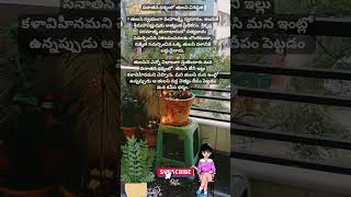 సనాతన ధర్మంలో తులసి విశిష్టత* తులసి స్వయంగా మహాలక్ష్మి స్వరూపం. అందుకే శ్రీమహావిష్ణువుకు అత్యంత