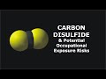 Carbon Disulfide and Potential Occupational Exposure Risks