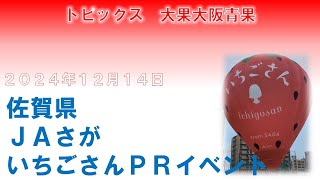 佐賀県　ＪＡさが「いちごさん」ＰＲイベント　いちごさんバルーン（熱気球）