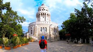 Normafa in a rainy day | Budapest | Hungary