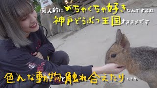 動物達と触れ合える神戸どうぶつ王国に行ってきた！！