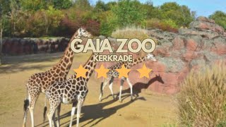 GAIA ZOO KERKRADE, HET FAMILIEUITJE VAN 2023?