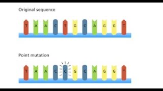 Mutations - 9A
