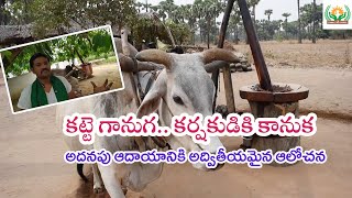 రైతులు - కట్టె గానుగలు || Woodpress Oil Making || Vinod || Connect 2 Farmer || Saagubadi