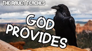 The Raven | Bible Lessons from Animals