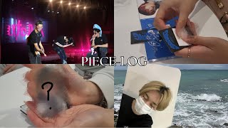 [피스로그 p1ece-log 🧩] 일상이 피원하모니 😅💦유토피아 | Utop1a🤍 • 앨범깡•일상•콘서트 ft. Onedoor, Carat ✨| English subs 🙆‍♀