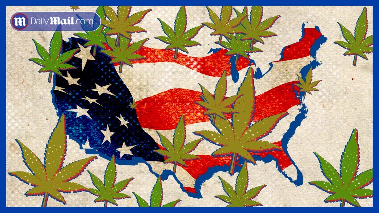 How America Lost The War On Marijuana - YouTube