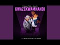 Kwazekwamnadi