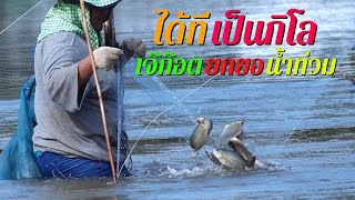 ยกยอน้ำไหลได้ทีเป็นกิโล! เจ๊ก๊อตยกยอน้ำท่วม สภ.ย่อยเมืองเก่า Nong Kot catches flooded fish.