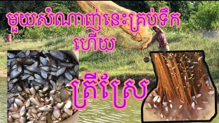 របៀប បង់ត្រីបានច្រើន