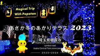 あさか冬のあかりテラス 2023　ぽぽたんとまほうの旅　令和5年12月8日～令和6年1月26日　埼玉県朝霞市　シンボルロード、朝霞駅東口・南口広場、朝霞中央公園石畳、ぽぽたんのイルミネーション