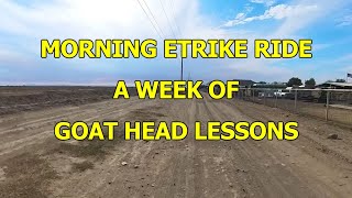 A WEEK OF GOAT HEAD LESSONS