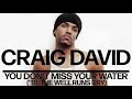 craig david you don t miss your water til the well runs dry official audio