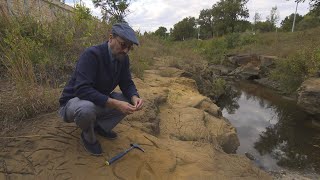 Nebraska's Dinosaur Tracksite  | Nebraska Stories | NET Nebraska