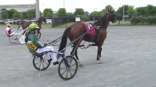 Australia's Brittany Graham Immersed In US Harness Racing Scene